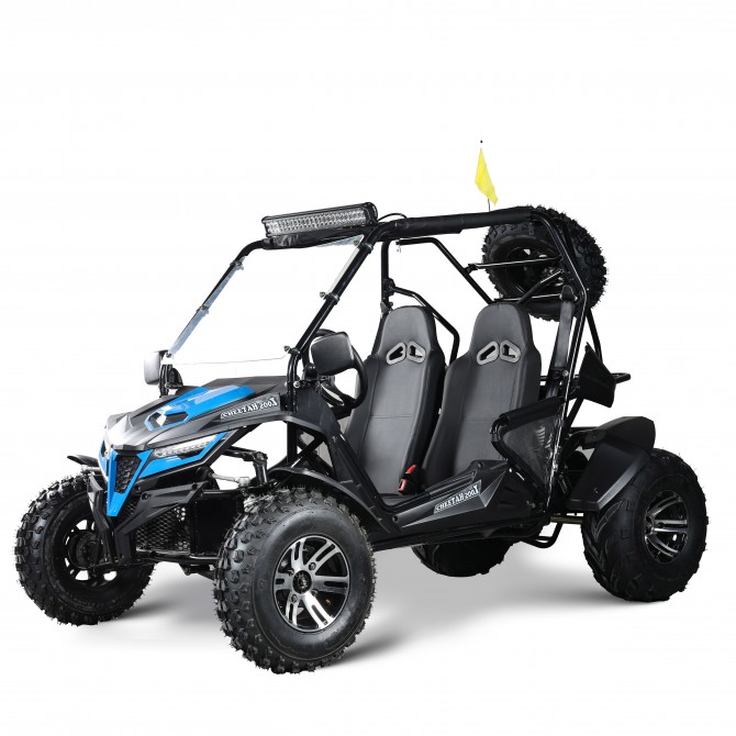 UTV TrailMaster Cheetah 200X 