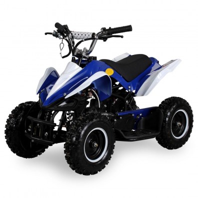 49cc Mini Quad RACER
