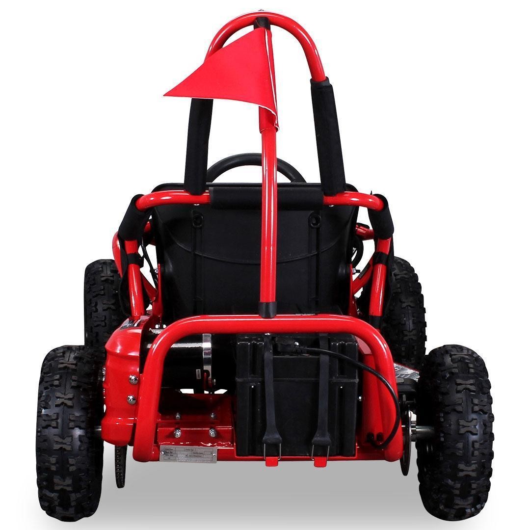 Kinder GO-KART 1000W